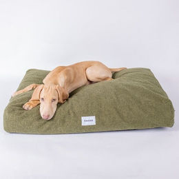 Caruso Conscious Pet Supply Hundebett Teddy Waldgrün aus Upcycling- und Recyclingmaterial – Bild 1 von 1