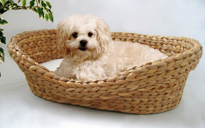 Produktbild von Cat Bonbon Katzenbett aus Bananenblatt in Beige Größe L