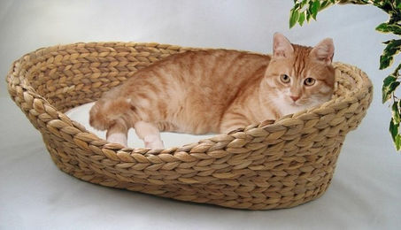 Cat Bonbon Katzenbett aus Bananenblatt in Beige Größe S – Bild 1 von 1