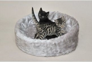Cat Bonbon Ruhe- und Schlafinsel grau aus Plüsch für Katzen und Hunde – Bild 1 von 3