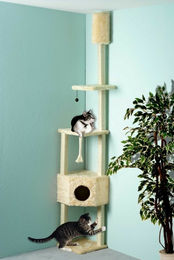 Cat Dream Eck-Kratzbaum beige mit Deckenspanner aus Holz – Bild 1 von 2