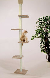 Produktbild von Cat Dream Katzenkratzbaum raumhoch mit Deckenspanner in Beige aus Plüsch