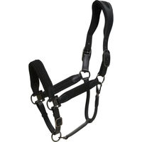 Produktbild von Catago Alani Lederhalfter für Ponys in Schwarz