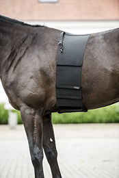 CATAGO Body Shield Sattelzubehör Schwarz Größe S – Bild 1 von 3