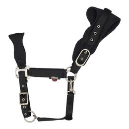Catago FIR-Tech Halfter für Ponys in Navy Blau aus Nylon – Bild 1 von 8