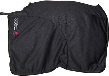 Catago FIR-Tech Nierendecke für Pferde aus Polyester in Schwarz – Bild 1 von 4