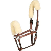 Produktbild von Catago Gepolstertes Lederhalfter in Braun