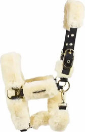 Produktbild von Catago Gepolstertes Pony Halfter aus Kunstleder in Weiß oder Beige