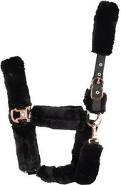 Produktbild von Catago HorseGuard Clint Gepolstertes Halfter für Ponys aus Kunstleder Schwarz