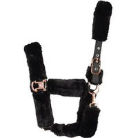 Produktbild von Catago HorseGuard Clint Gepolstertes Halfter für Ponys aus Kunstleder Schwarz
