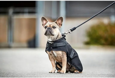 Produktbild von Catago Hybrid Hundedecke Autoschondecke aus Schaffell in Schwarz und Beige 50 cm