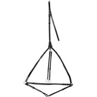 Produktbild von Catago Jagdhalsband aus Leder in Schwarz und Silber für Pferde