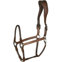 Produktbild von Catago Leder Halfter XFull Braun