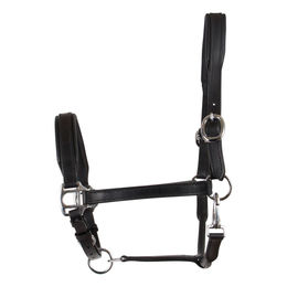 CATAGO Lederhalfter für Ponys in Schwarz – Bild 1 von 2