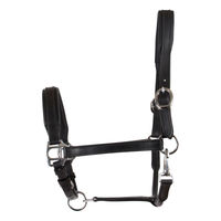 Produktbild von CATAGO Lederhalfter für Ponys in Schwarz