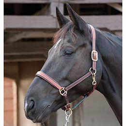 CATAGO Lederhalfter für Warmblut in Braun – Bild 1 von 2