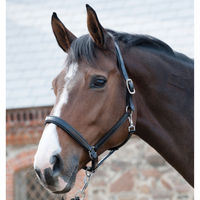 Produktbild von CATAGO Lederhalfter für Warmblut Pferde in Schwarz