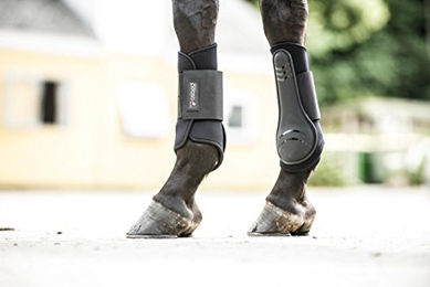 CATAGO Neopren Gamaschen für Pferde Schwarz Größe L – Bild 1 von 2