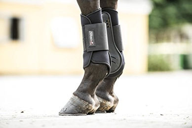 Produktbild von CATAGO Neopren Gamaschen für Pferde Schwarz XL