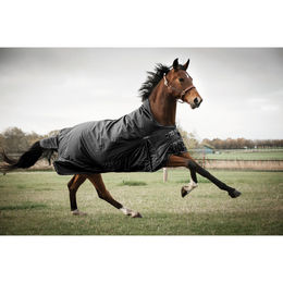 CATAGO Outdoordecke Justin Pferdedecke für Pferde Schwarz 165 cm - 165 cm – Bild 1 von 3