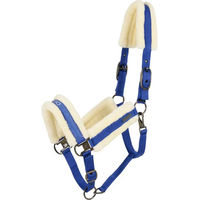 Produktbild von Catago Trace Nylon Halfter für Pferde in Blau