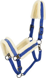 Produktbild von Catago Trace Nylon Halfter für Pferde in Blau