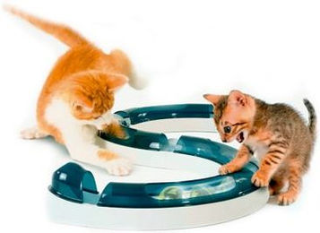 Catit Design Senses Play Circuit Spielschiene für Katzen mit Ball aus Kunststoff – Bild 1 von 10