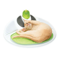 Produktbild von Catit Senses 2.0 Wellness Center Katzenspielzeug mit Bürste und Catnip in Bunt und Grün