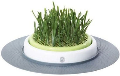 Catit Senses Gras Garten Katzengras Set für Katzen 24x24cm - 707,6 g – Bild 1 von 3