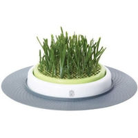Produktbild von Catit Senses Gras Garten Katzengras Set für Katzen 24x24cm - 707,6 g