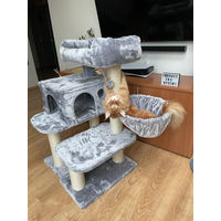 Produktbild von CATIX Kratzbaum Cloud XL Hellgrau 70x60x112 cm