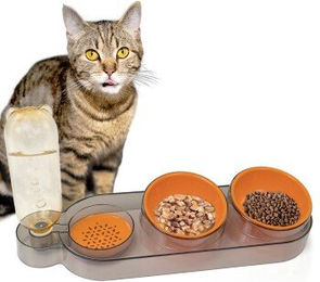CATOBEL Katzen Futterbar Dinner Station mit 2 Näpfen und Wasserspender für Katzen und kleine Hunde in Orange aus Kunststoff – Bild 1 von 11