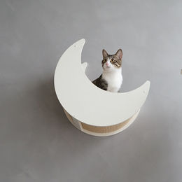CatS Design Jumbo Kratzsäule mit Sisal in Weiß – Bild 1 von 9