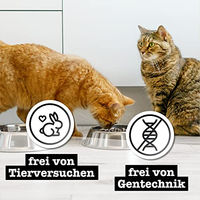 Produktbild von Catz finefood Purrrr Collection II Nassfutter für Katzen Adult 6 x 400g Dose - 6 x 400 g