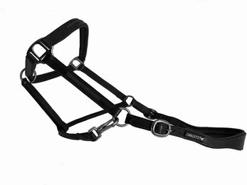 Produktbild von Cavaletti Tara Lederhalfter für Pferde mit Crystal-Einsatz in Braun oder Schwarz
