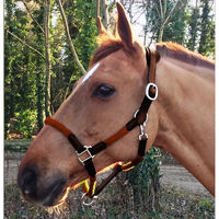 Produktbild von Cavaletti Tara Lederhalfter und Seil für Pferde in Braun