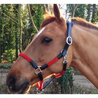 Produktbild von Cavaletti Tara Lederhalfter und Seil für Pferde in Schwarz oder Rot