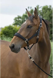 Cavallo Cavalonni Longe Reiten Zubehör aus Kunststoff Schwarz – Bild 1 von 1