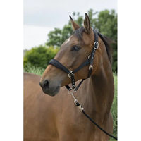 Produktbild von Cavallo Cavalonni Longe Reiten Zubehör aus Kunststoff Schwarz - 2 m