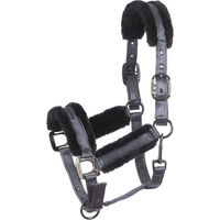 Produktbild von Cavallo Fellhalfter Cavaljero für Vollblut aus Stoff in Grau oder Schwarz