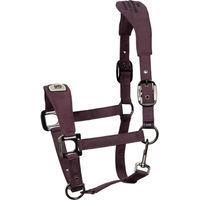 Produktbild von Cavallo Halfter CAVALPAWEL