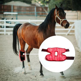 Cavallo Infrarot-Pad für Pferde zur Schmerzlinderung bei Gelenken und Beinen mit 660nm und 850nm, kabellos, 37cm x 31cm – Bild 1 von 1