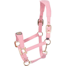 Produktbild von Cavallo Nylonhalfter für Vollblut in Powder Pink und Gold