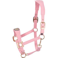 Produktbild von Cavallo Nylonhalfter für Vollblut in Powder Pink und Gold