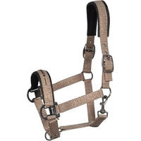 Produktbild von Cavallo Pferd Halfter mit Schaumstoffpolsterung in Rosa
