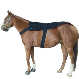 Cavallo XXL Profi Rotlicht Therapiematte für Pferde in Rot und Schwarz mit Infrarot-Technologie zur Schmerzlinderung und Regeneration – Bild 1 von 1