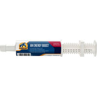 Produktbild von Cavalor An Energy Boost Ergänzungsfutter für Pferde 60 g - 5 x 47 ml