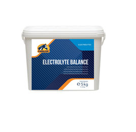 Cavalor Electrolyte Balance Elektrolyt-Ergänzungsfutter für Pferde 5 kg - 5 kg – Bild 1 von 3