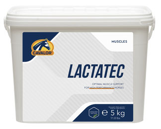 Cavalor LactaTec Mash Pferdefutter zur Unterstützung von Muskelaufbau und Sportleistung 5 kg - 5 kg – Bild 1 von 3