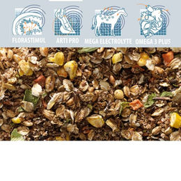 Cavalor Slobber Mash Wellness Mash und Mix für Pferde zur Unterstützung der Verdauung 15 kg – Bild 1 von 2